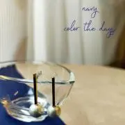 navy color the daysの画像