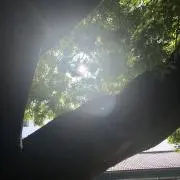 ひだまりの画像
