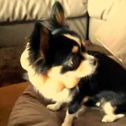ユンホ