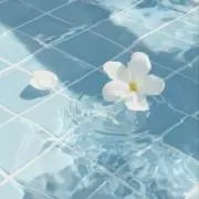 danboの画像