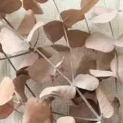anzu--anの画像