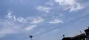 みかんの画像