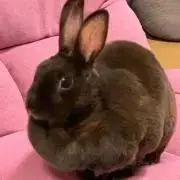 isiyasu99の画像