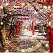 ゆーみんの画像
