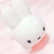 さくら. 購入前コメントお願いしますの画像