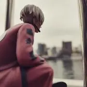 あさがおの画像