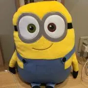MRの画像