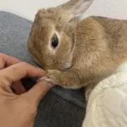 m@im@i