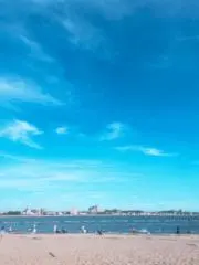 Sunny