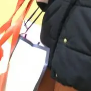 かさ