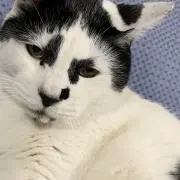 qu_upn_bk ※プロフ確認くださいの画像