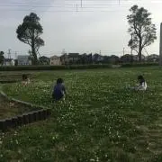 ミナミ