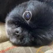 なぉ♡