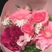 Ranの画像