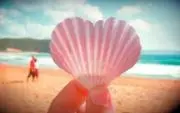 rotanamoの画像