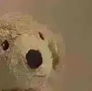 カの画像