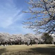 mの画像