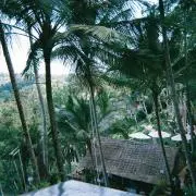 M&Mの画像