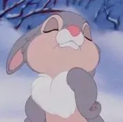 Ririの画像