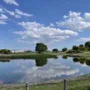 Image of あろえ