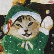 こんじゅの画像