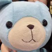 ちゃんの画像