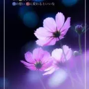 かみずきの画像