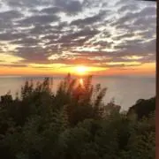 ソラの画像