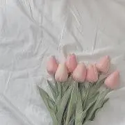 ⪩⪨꙳⋆の画像