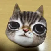 ハナの画像