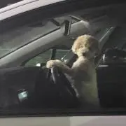 春
