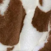 haちゃんの画像