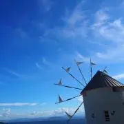 あちゃの画像