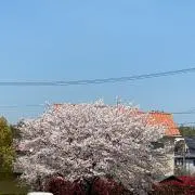 寂雷推し
