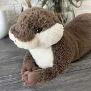 こたろうの画像