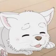 あーるの画像