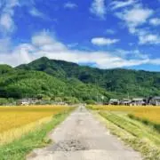 tanas0077の画像