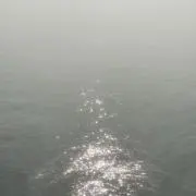 めろの画像