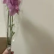 onの画像