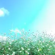さくらもちの画像