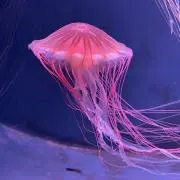 べーやん〜(^^)プロフ必読(^^)の画像