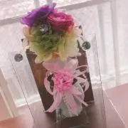 ハロ