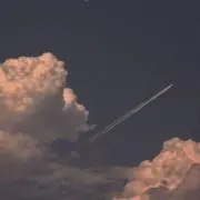 yuuuの画像