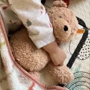 ひなの画像