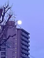 うんちゃん