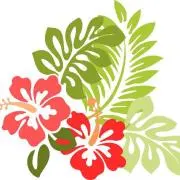 nani姉さんの画像