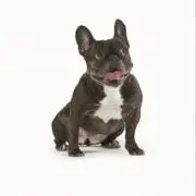 まー。の画像