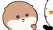 カワウソの画像