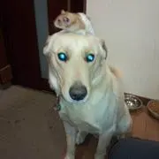 あたしの画像