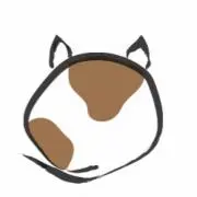 mashaの画像